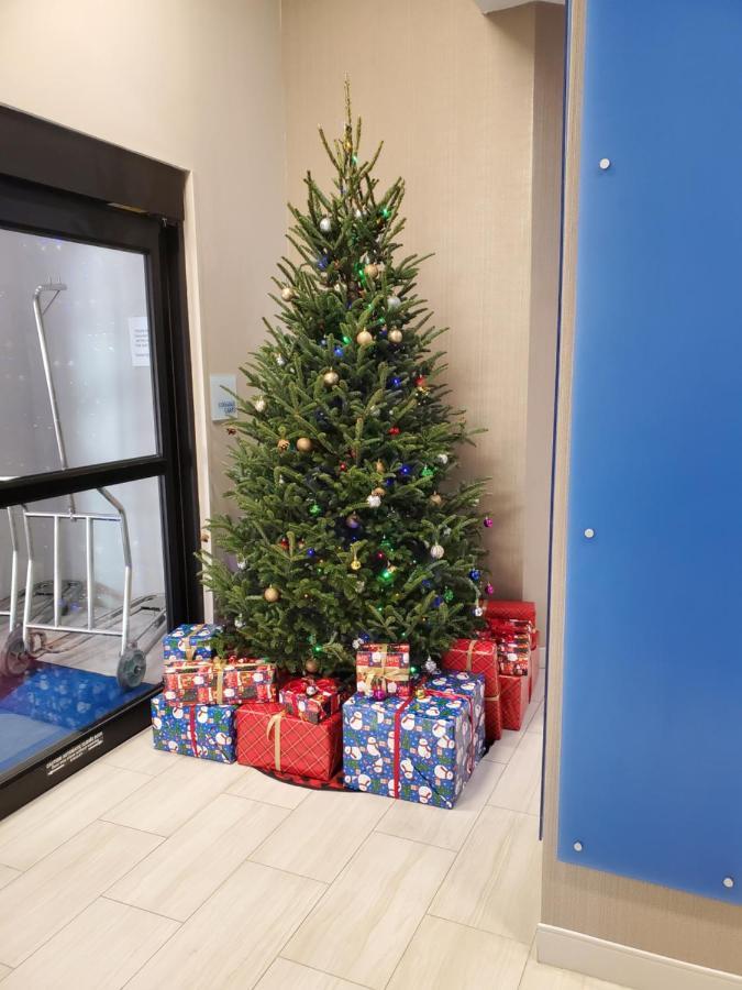 Holiday Inn Express St. Augustine - Vilano Beach By Ihg Exterior photo